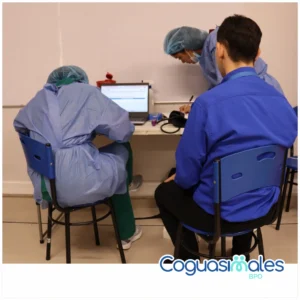RSE5